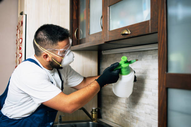 Best Cockroach Control Services  in Walton Park, NY