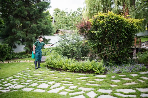 Best Best Pest Control Companies  in Walton Park, NY