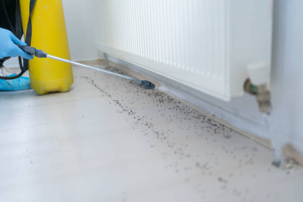 Best Mosquito Control Services  in Walton Park, NY