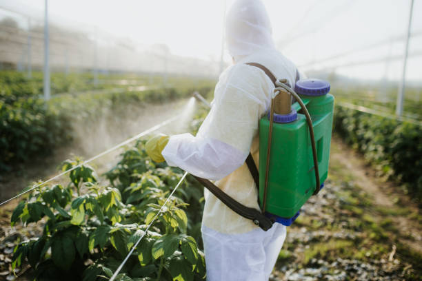 Best Best Pest Control Companies  in Walton Park, NY
